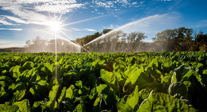 SSS Irrigation New Zealand